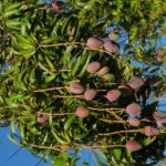 article image - 